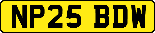 NP25BDW