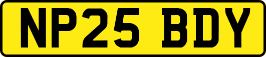 NP25BDY