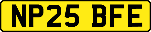 NP25BFE