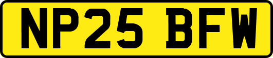 NP25BFW