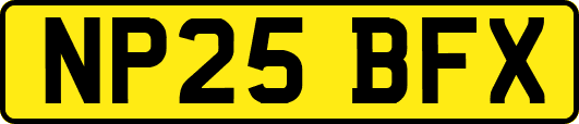 NP25BFX