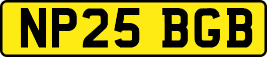 NP25BGB