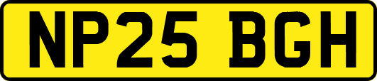 NP25BGH