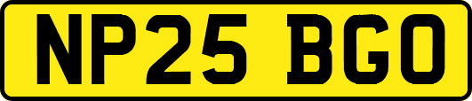 NP25BGO