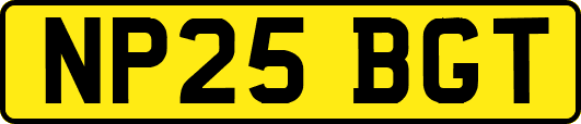 NP25BGT
