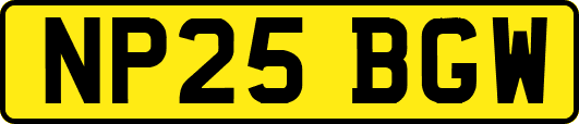 NP25BGW