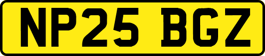 NP25BGZ