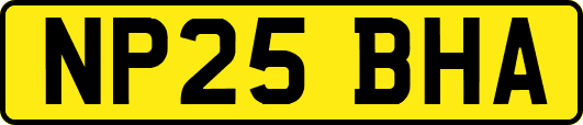 NP25BHA