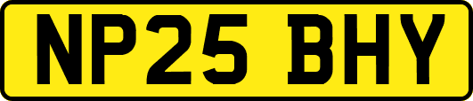 NP25BHY