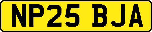 NP25BJA