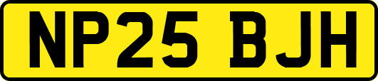 NP25BJH