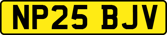 NP25BJV