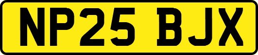 NP25BJX