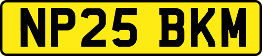 NP25BKM