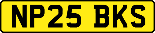 NP25BKS