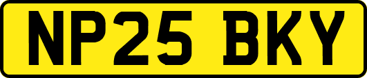 NP25BKY