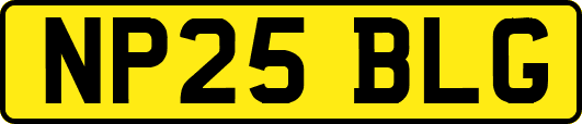 NP25BLG