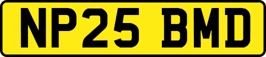 NP25BMD