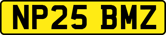 NP25BMZ
