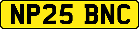 NP25BNC