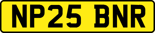 NP25BNR