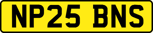 NP25BNS