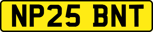 NP25BNT