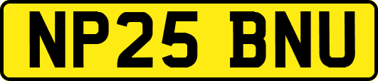 NP25BNU
