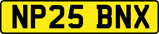 NP25BNX
