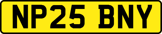 NP25BNY