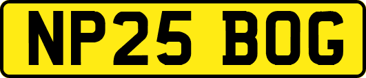 NP25BOG