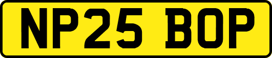 NP25BOP