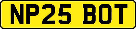 NP25BOT
