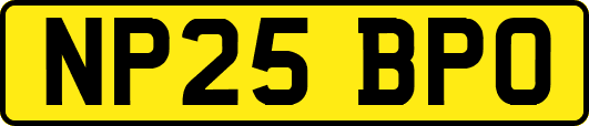 NP25BPO