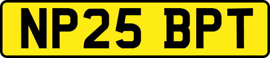 NP25BPT