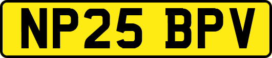NP25BPV