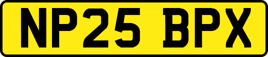 NP25BPX
