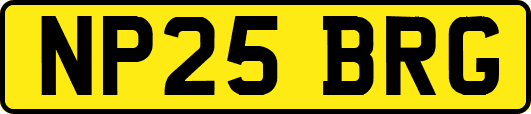 NP25BRG