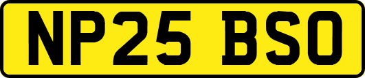 NP25BSO