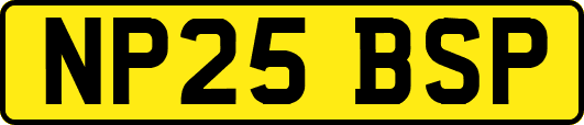 NP25BSP