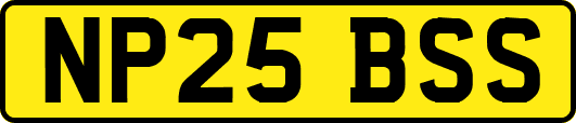 NP25BSS