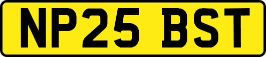 NP25BST