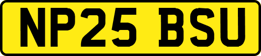 NP25BSU