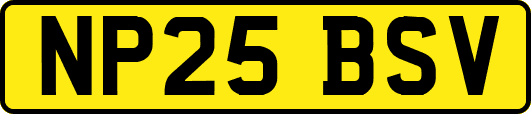 NP25BSV