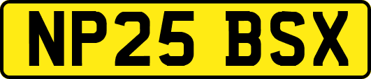 NP25BSX