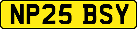 NP25BSY