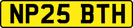 NP25BTH