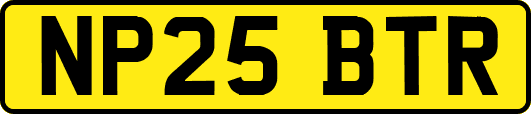 NP25BTR