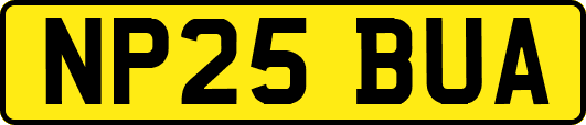 NP25BUA
