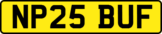NP25BUF